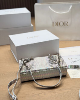 Dior Lady Dior Horizontal