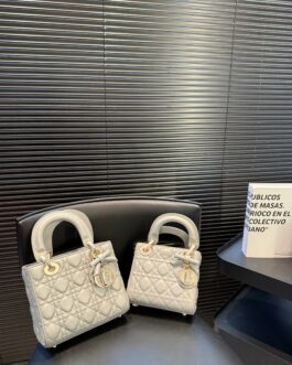 Dior Lady
