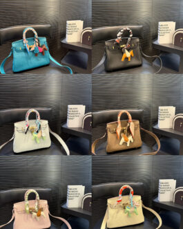 Hermès Birkin 25 Two-tone Lining Top Handle Bag