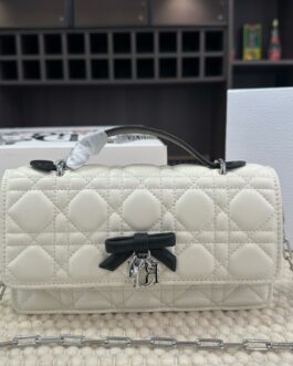 Dior Chain Crossbody Bag