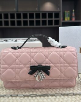 Dior Chain Crossbody Bag