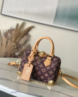 Louis Vuitton Classic Handbag