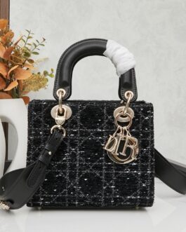 Dior Cannage Rhinestone Embroidered Handbag