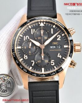 New Racing Pilot Black & Gold