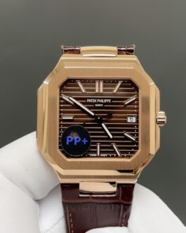 watch model 5821